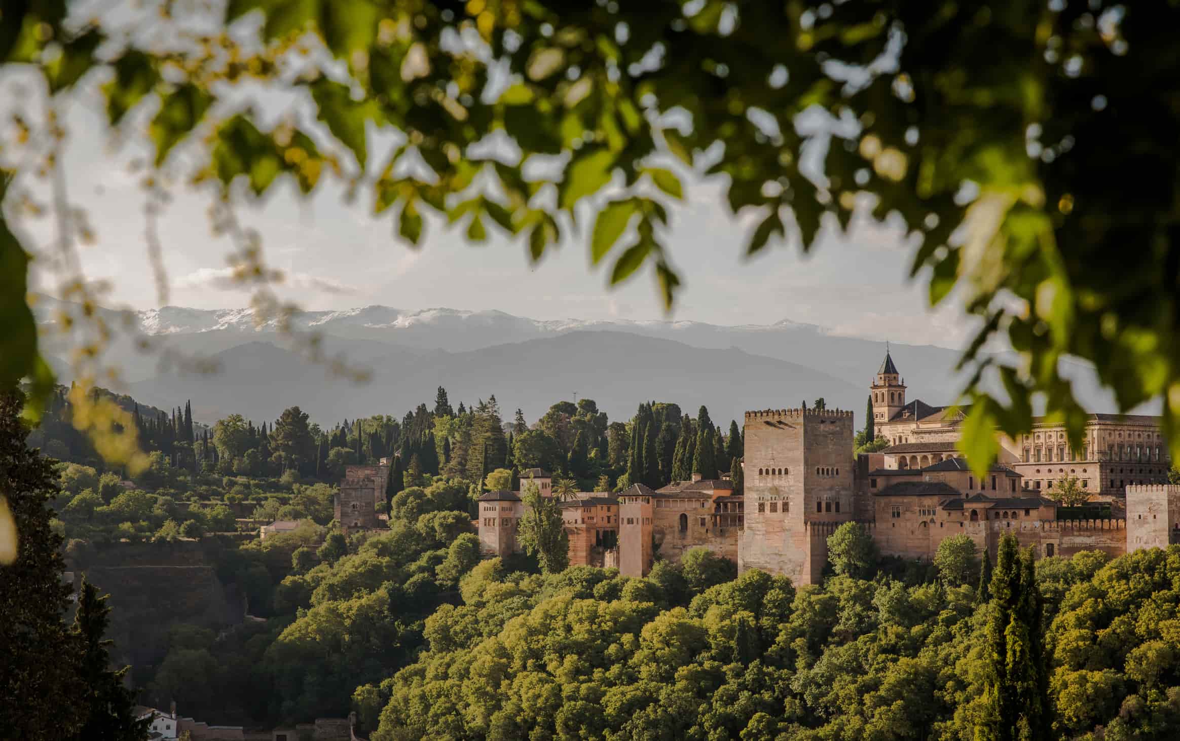ruta restaurantes en granada